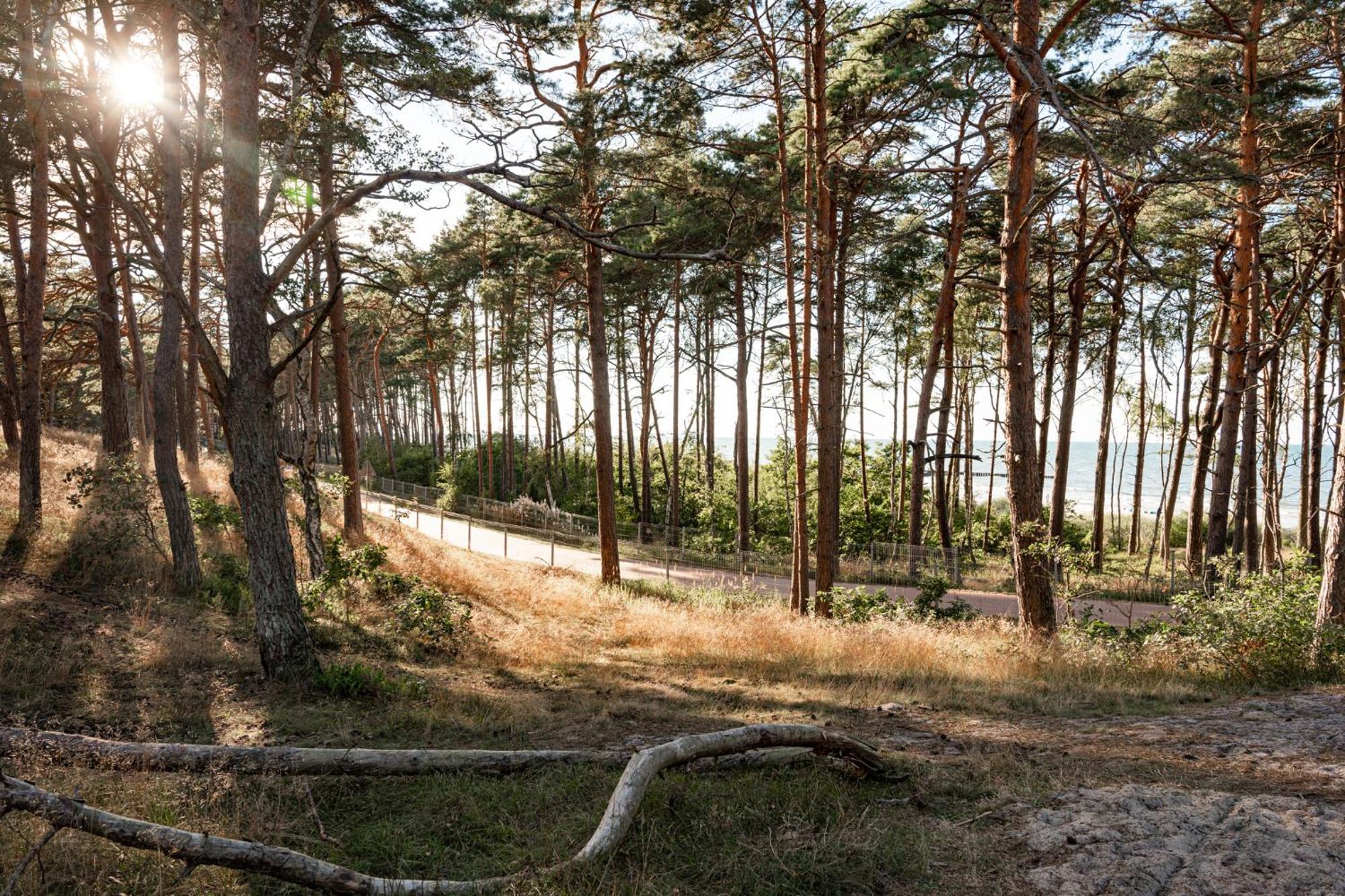 Neptuno Resort & Spa Dzwirzyno Bagian luar foto